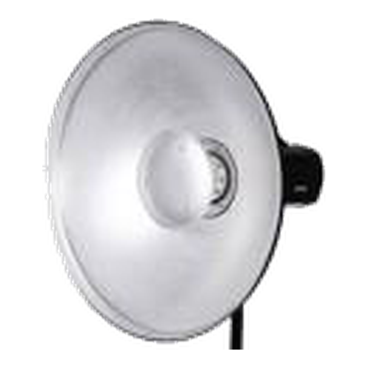 bueaty dish mini silvev